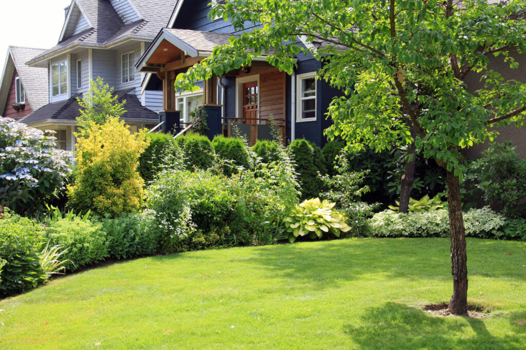 Beautiful home surrounded by a lush perennial front garden. hedge trimming healthy yard