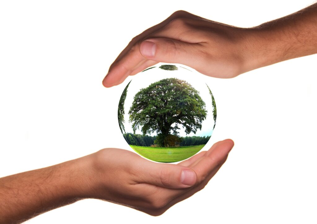 protect the earth with hands holding a clear globe with a tree and the ground in it