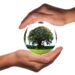 protect the earth with hands holding a clear globe with a tree and the ground in it
