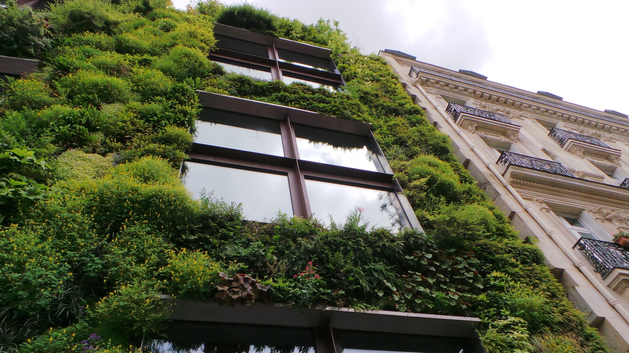 More Crop Less Space: A Guide to Vertical Growing