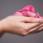 Woman Holding Pink Rose Petals Are the girls on video chat sites real