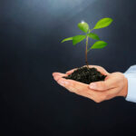 3 Sustainable Life Choice Everyone Should Consider