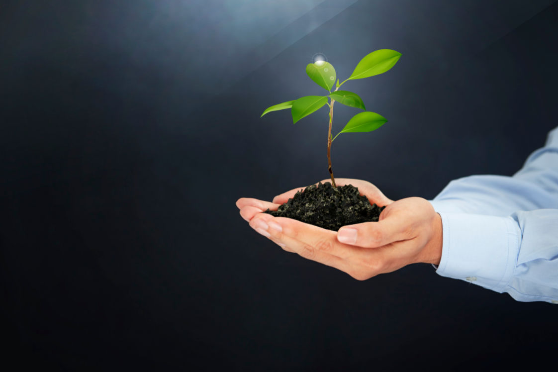 3 Sustainable Life Choice Everyone Should Consider