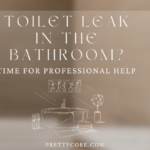 Toilet Leak in the Bathroom? Time for Professional Help