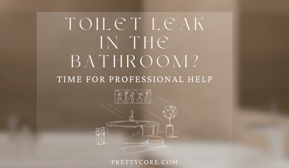 Toilet Leak in the Bathroom? Time for Professional Help