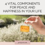 4 Vital Components for Peace and Happiness in Your Life