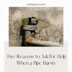 Five Reasons to Ask for Help When a Pipe Bursts